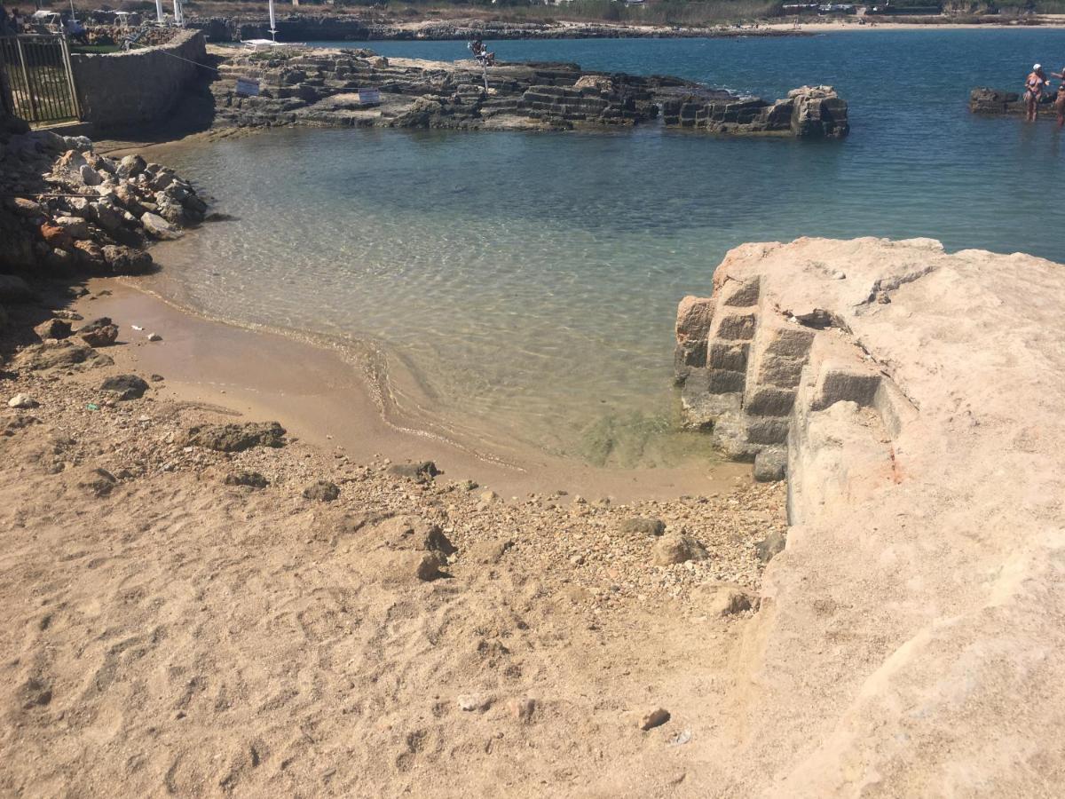 Almarea Blu - Appartamento In Villa Vicino Al Mare - Affitto Breve بولينيانو آ ماري المظهر الخارجي الصورة