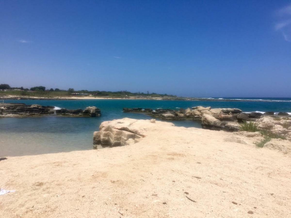 Almarea Blu - Appartamento In Villa Vicino Al Mare - Affitto Breve بولينيانو آ ماري المظهر الخارجي الصورة